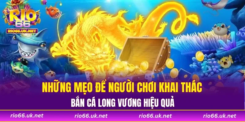 Những mẹo để người chơi khai thác bắn cá Long Vương hiệu quả