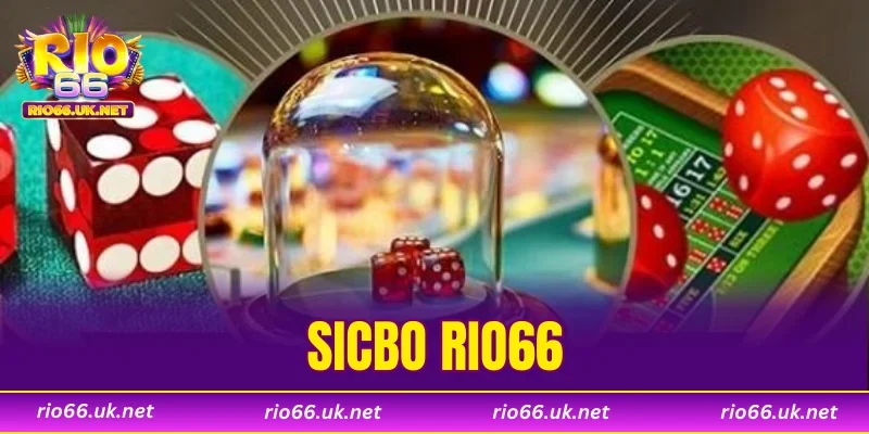 Sicbo RIO66